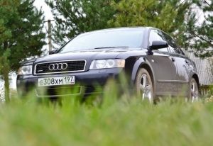 Скрип в заднем колесе при повороте на авто Лада Калина, Ниссан Премьера и Киа Рио