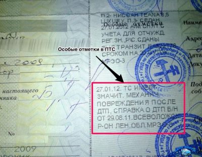 Что значит дкп в особых отметках