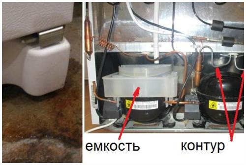 Из холодильника вытекла маслянистая жидкость