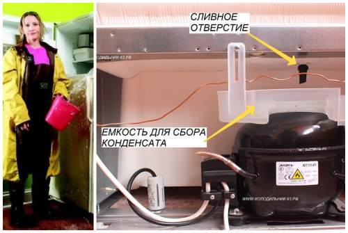 Из холодильника вытекла маслянистая жидкость