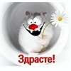Когда регулировать клапана на гранте 8 клапанной