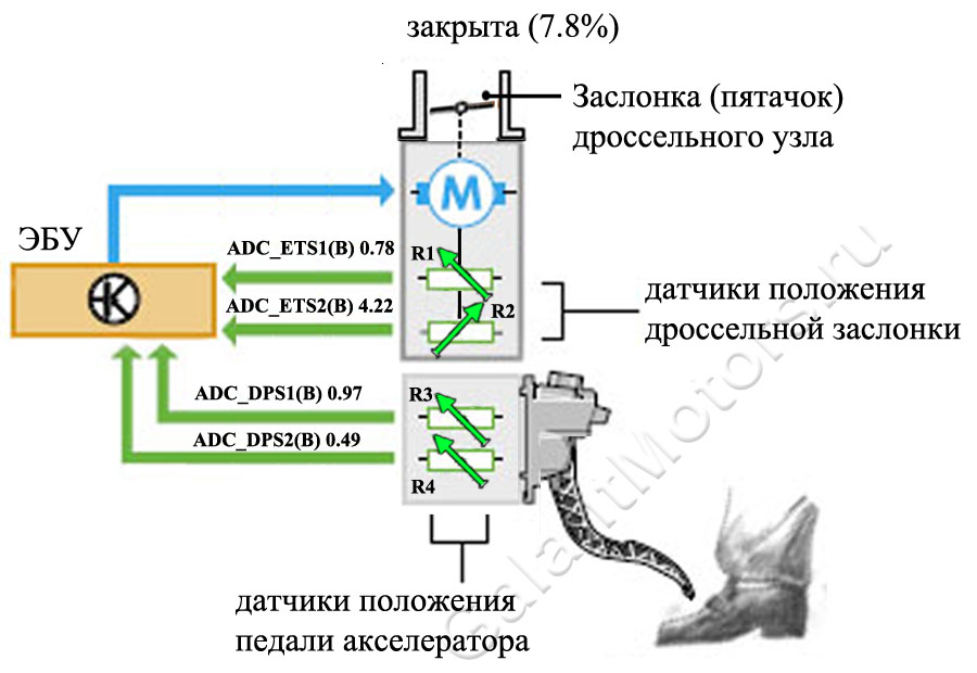 Неисправности электронной педали газа калина