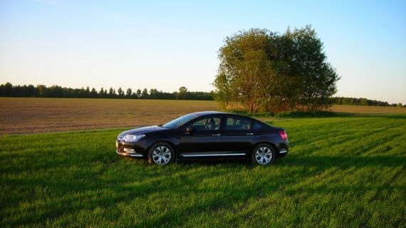 Неравномерный гул при движении автомобиля